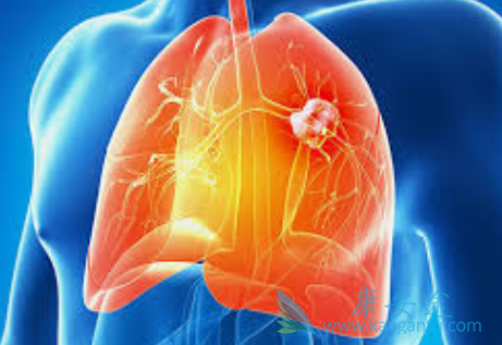 盐酸安罗替尼 盐酸安罗替尼