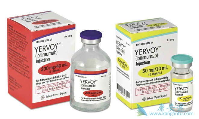 CTLA-4抗体 CTLA-4抗体