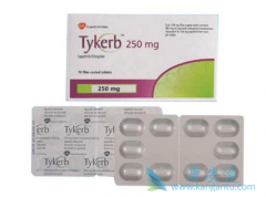 ��������(LAPATINIB)���ӳ����ἰ����θʳ���ٰ����ߵ���������