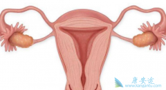 �������Ὺ���˲���ҩ�ѳ������߰������ϻ��Ƶ��Ⱥ�