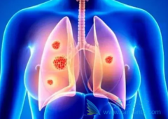 ��������(entrectinib)��һ�־��нϸ�Ѫ������͸���ʵİ���ҩ��