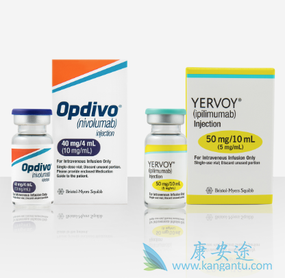 PD-1抑制剂 PD-1抑制剂