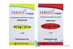 ��ƥľ����(Ipilimumab)����ҩ������ע������