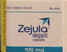 ����������һ��ÿ��ֻ��ڷ�һ�ε�PARP���Ƽ�