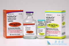 Yervoy��ipilimumab���������ƺ�ɫ������־����������ʱ���Ŀ���