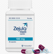 �ѳ������߷�����������(Zejula)ǰ��Ҫ����������