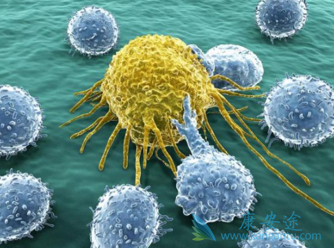 肿瘤的治疗 肿瘤的治疗