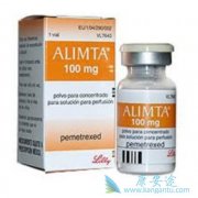 �������鵥����Ψһ������������(Alimta)����ʹ�õĿ�PD-1�Ʒ�