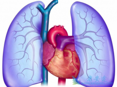 �ζ�����ѹ֢״��ʧ�˻���Ҫ�Բ���̹��