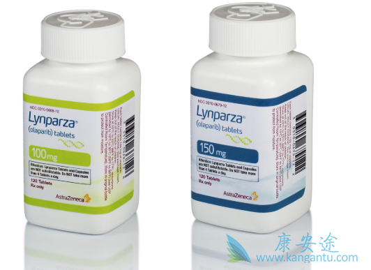 PARP抑制剂 PARP抑制剂