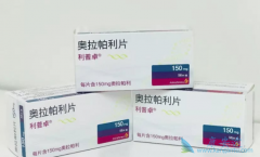 ������������ڵ�PARP���Ƽ����������������ٰ����ߵ�������