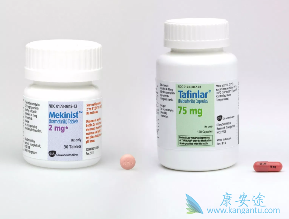 恶性黑色素瘤 恶性黑色素瘤