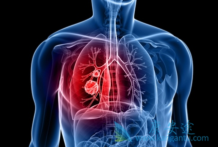 阿帕替尼 阿帕替尼