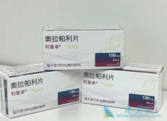 �����ڹ������еİ�������ͬʱҲ��ȫ���׸�PARP���Ƽ�