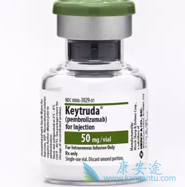 派姆单抗 派姆单抗