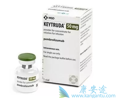 派姆单抗 派姆单抗