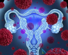 PARP���Ƽ����������ͨ���ϳ��������ö�������ҩ����������