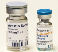 ��ά͡����PD1ҩ���ʹ����PD-L1����״̬�ķ��۰��ΰ����߻���