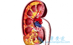 �и�Σ��������һ�����ƿ��ԳԿ�������