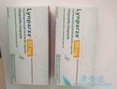 ��PARP���Ƽ�lynparza�����Ƶ�ҩ�ﻹ����Щ��