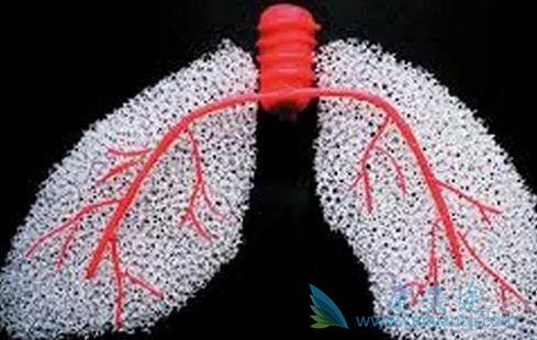 肺纤维化 肺纤维化