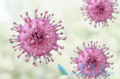 CAR-T�Ʒ�������ڶ��������з��ӿ������õģ�