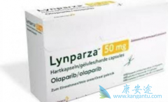 PARP���Ƽ����������ڹ��ڻ�������Ʒ��Ϊ����׿