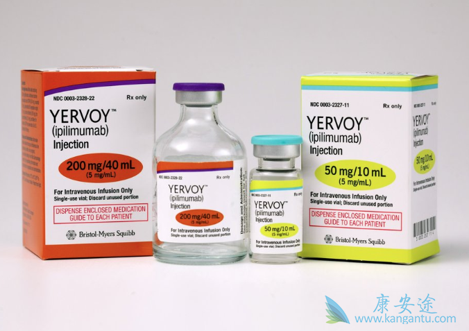 免疫检查点抑制剂 免疫检查点抑制剂