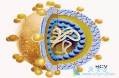 ������ʲô���ճ����Ԥ�����͸��ײ�����Ⱦ��