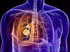 PD-1���Ƽ���EGFR-TKIԭ����ҩ��PD-L1�߱���Ļ��߿�������