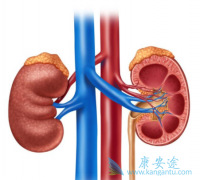 Tivozanib�ɽ������������ߵ��޽�չ���������44%