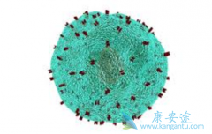 ��PD-1Ϊ���������߼������Ƽ����ϻ�����Ŀǰ������������Ʋ���