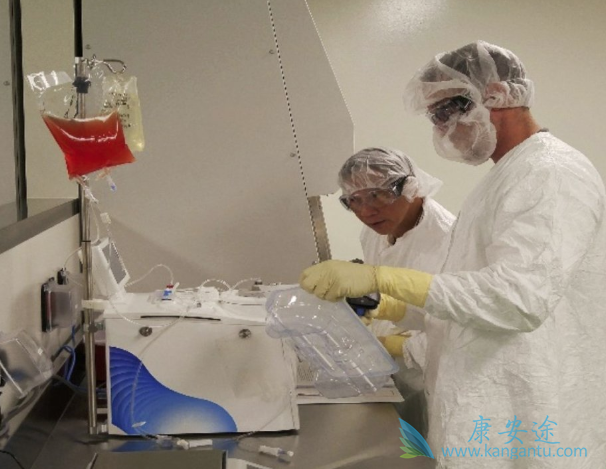 CAR-T细胞 CAR-T细胞