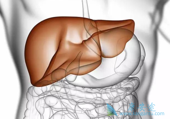 乙肝预防 乙肝预防
