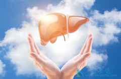 Ϊʲô�����Ҹ����ƹ�����һ��Ҫ���ڼ�����ã�