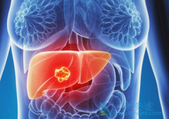 ���ΰ�ҩ���ַ������E7080��ͬһ��ҩ����