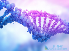 PD-1/PD-L1�������Ƶ��µĽ᳦����ô���ƣ�