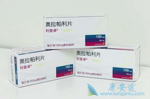 PARP抑制剂 PARP抑制剂