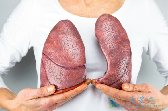 布加替尼 布加替尼