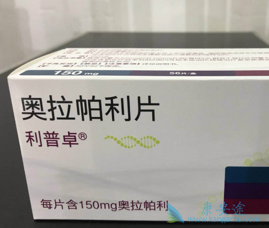 PARP抑制剂 PARP抑制剂