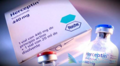 �������Ƿ�Ϊ�����鵥��(herceptin)Ӧ�õĽ�����Ⱥ��