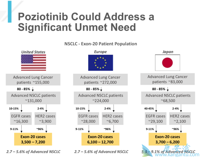 波齐替尼 波齐替尼