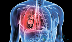 ��Сϸ���ΰ�����ÿ�����Զ���mg�Ĳ������᣿