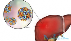 ���Ա��͸����Ƿ��Ӱ����λ��ߵ����ཡ����