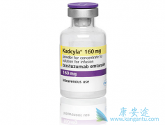 �������ἰ�����鵥����T-DM1��HER2ͻ��ķΰ�����ҩ��֮һ