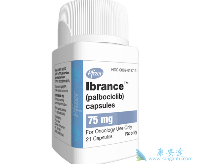 哌柏西利 哌柏西利