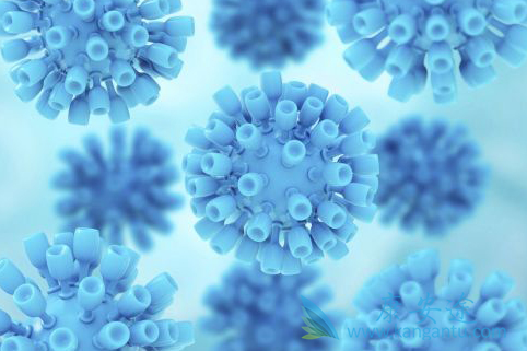 丙肝病毒 丙肝病毒