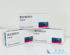 PARP���Ƽ����������������ٰ����ٴ���������Ч����ô����