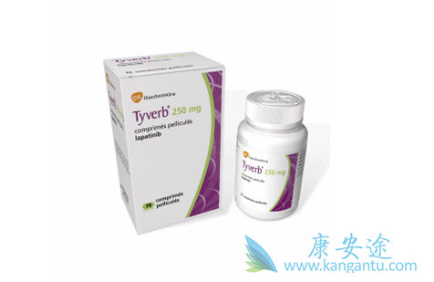 抗HER2治疗 抗HER2治疗