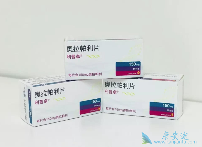 PARP抑制剂 PARP抑制剂